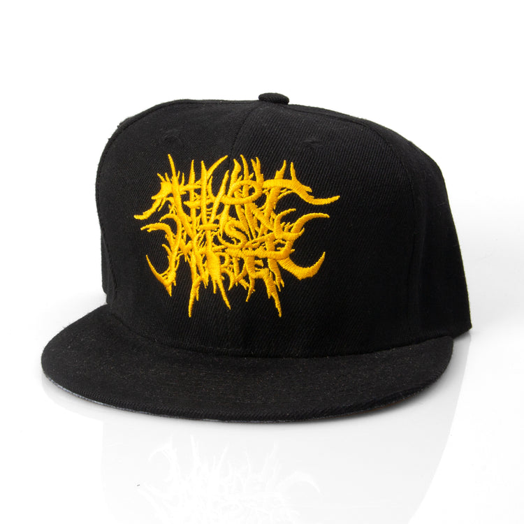 Dear Desolation Snapback